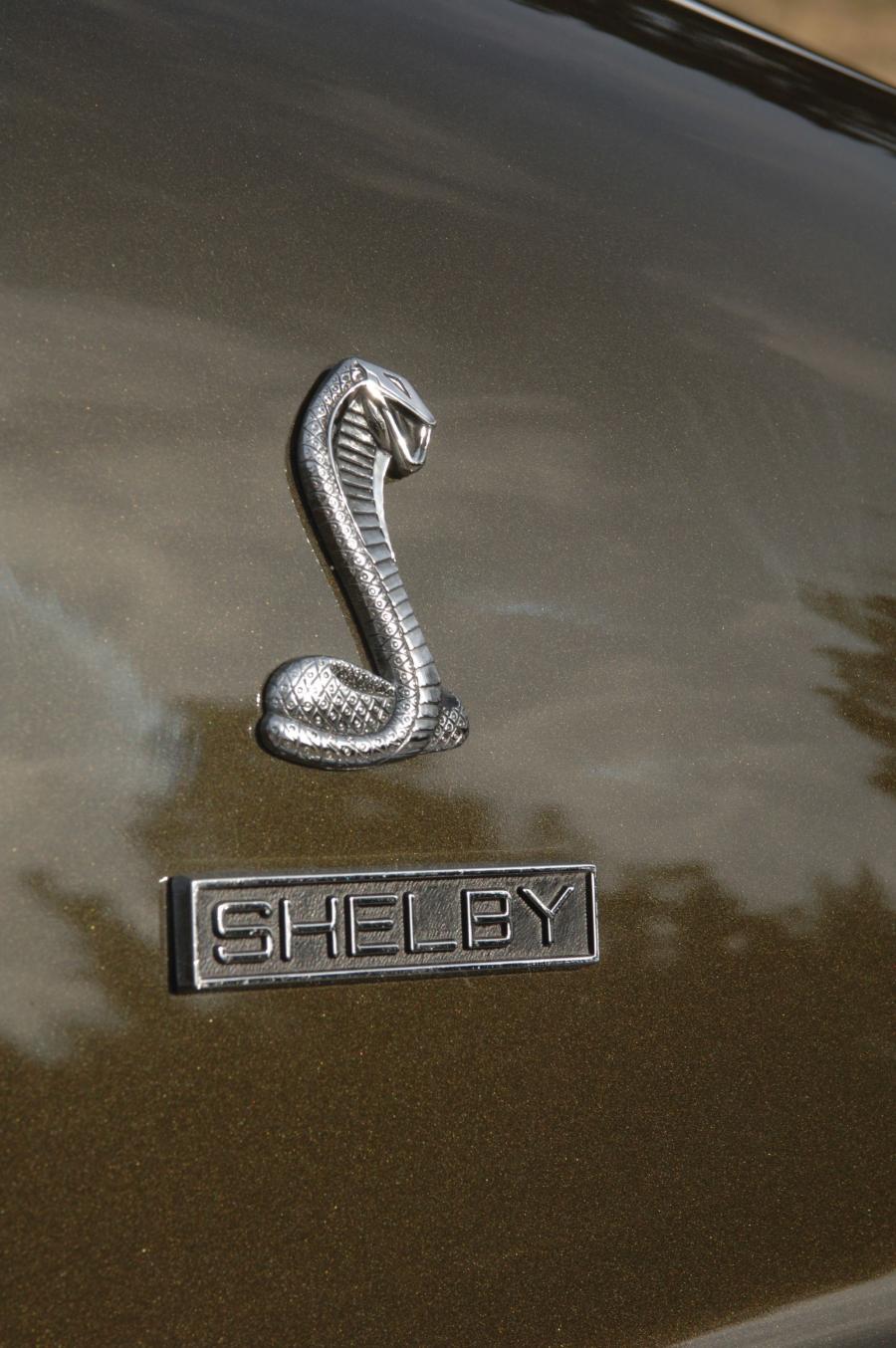  Shelby GT350H Sportsroof 1969 года  (фото 5 из 11)